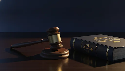 Wizerunek reform sądownictwa i praworządności w Polsce w opiniach niemieckiej prasy